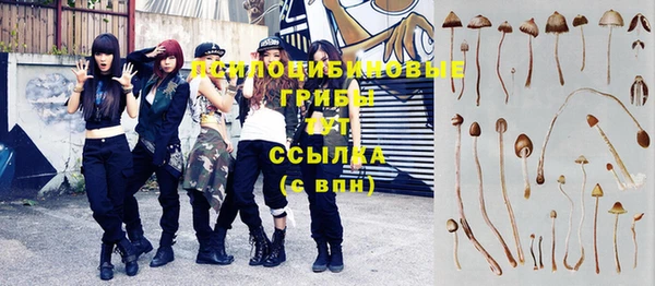 синтетический гашиш Няндома