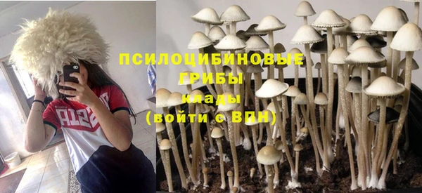 круглые Алексин