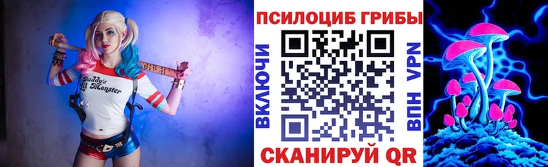 Купить где  Бодайбо  Галлюциногенные грибы Psilocybine cubensis 